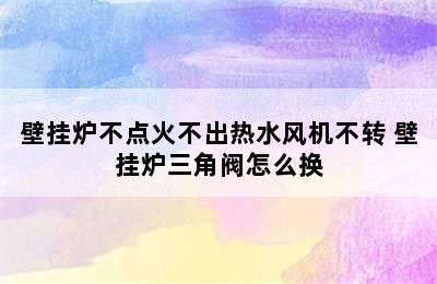 壁挂炉不点火不出热水风机不转 壁挂炉三角阀怎么换